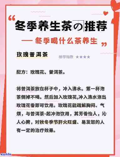 东冬天适合喝什么茶？推荐几款暖身又养生的好茶！