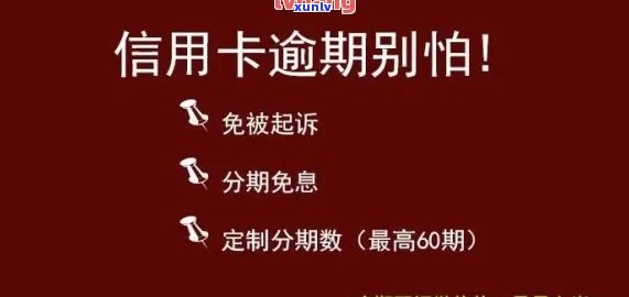 怎样通过谈判减少信用卡逾期利息，实现低成本解决疑问？