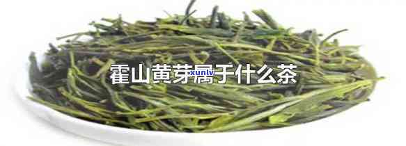 山黄芽是什么茶种植，山黄芽：中国名茶中的瑰宝——解析其种植和 *** 工艺