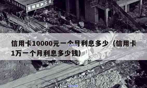 信用卡借一万一个月利息多少，信用卡借款1万元，每月需要支付多少利息？