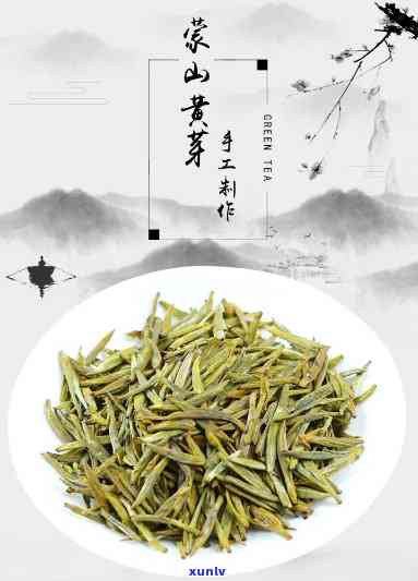 山黄芽属于十大名茶吗，探究山黄芽：它是否属于十大名茶之一？