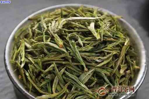 山黄芽属于十大名茶吗，探究山黄芽：它是否属于十大名茶之一？