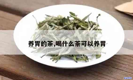 什么茶胃养胃，探究哪些茶叶具有胃养胃的效果？