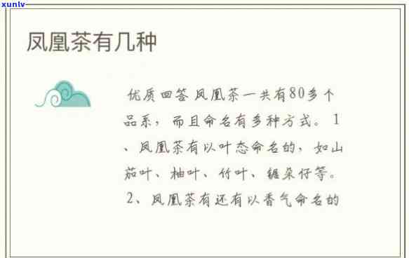 凤凰春剑是什么茶种的，揭秘茶叶新贵：凤凰春剑，你了解它的来历和品种吗？