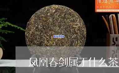 凤凰春剑是什么茶种的，揭秘茶叶新贵：凤凰春剑，你了解它的来历和品种吗？