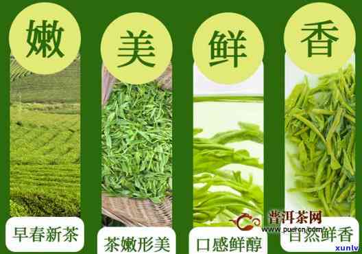 富硒茶属于什么茶种呢，揭秘富硒茶的茶种归属，你了解吗？