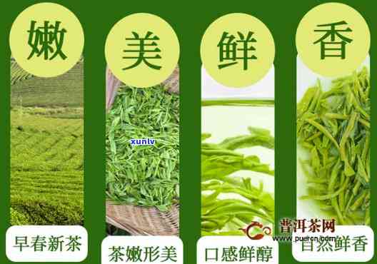 富硒茶属于什么茶种-富硒茶属于什么茶种类