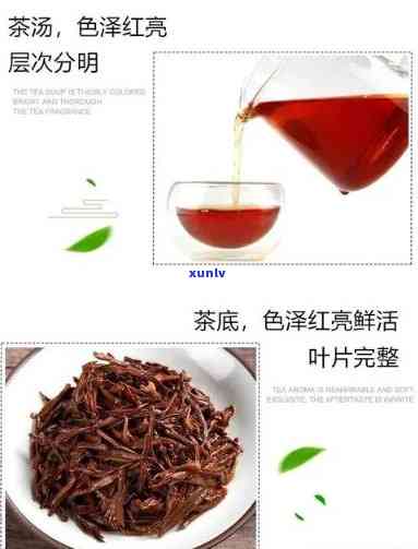 什么红茶喝着带点甜的，探寻口感甜蜜的红茶品种