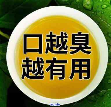 口臭喝什么茶效果好-口臭喝什么茶效果好呢