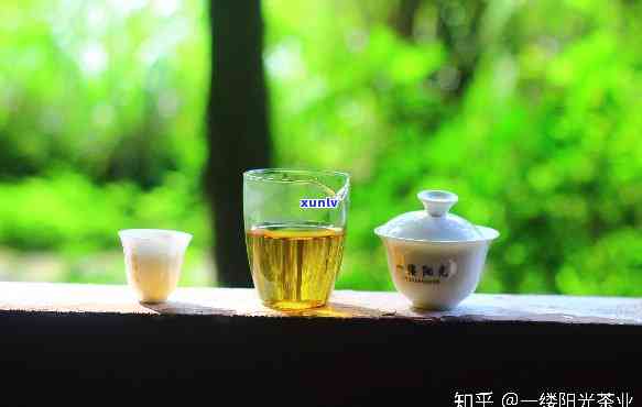 早上喝什么茶比较好一点，探讨早上的饮品选择：哪种茶更适合您？