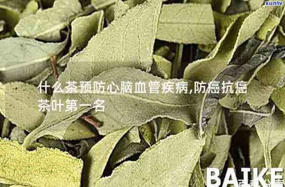 心脑血管喝什么茶好一点，保护心脑血管，哪种茶叶更合适？