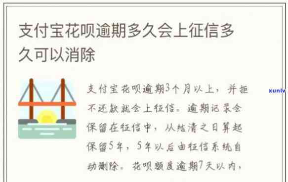 支付宝花呗逾期利息和滞纳金，熟悉支付宝花呗逾期的代价：利息与滞纳金全解析