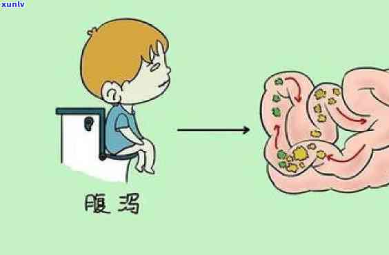 腹泻的人喝什么茶好一点，止泻良品！腹泻人群适合饮用的几种茶