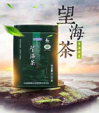 望海潮属于什么茶种-望海潮是什么品种的茶