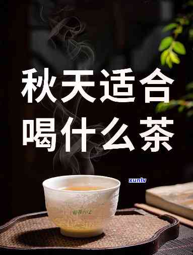 秋天早晨喝什么茶好-秋天早晨喝什么茶好呢