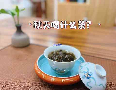 高天喝什么茶-高天喝什么茶喝