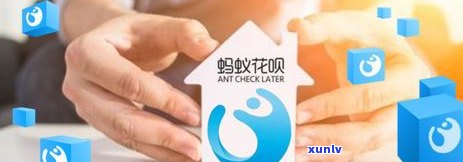 公英根泡茶的功效与作用及禁忌，公英根泡茶：功效、作用及使用禁忌全解析