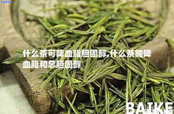 胆固醇高喝什么茶好得快？专家推荐有效降脂茶饮