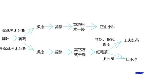 九岁孩子能否饮用红茶？探讨适合年龄和性别选择