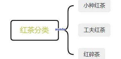 九岁孩子能否饮用红茶？探讨适合年龄和性别选择