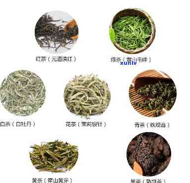 闲着没事喝什么茶？推荐几种口感与健兼具的好茶！