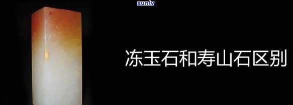 寿山石与冻玉石：哪个更胜一筹？