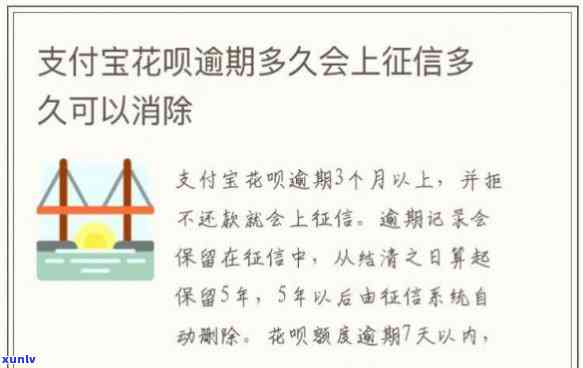 冰种三彩翡翠手镯的价格与拍卖情况全解析