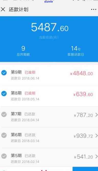 支付宝借呗逾期计息还本金  全攻略