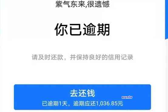 支付宝借呗逾期说是要免息怎么办，支付宝借呗逾期后声称提供免息服务，真实情况怎样？