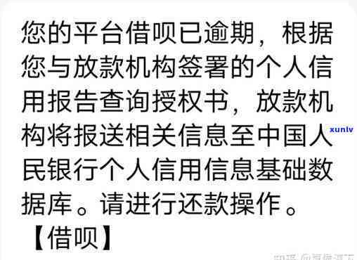 支付宝借呗逾期发来的信息-支付宝借呗逾期发来的信息是真的吗