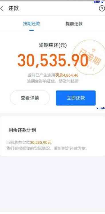 支付宝花呗逾期利息手续费计算  及金额解析