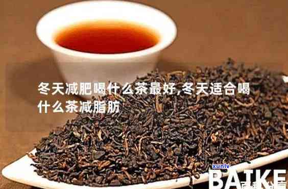 胖子天喝什么茶好-胖子天喝什么茶好呢