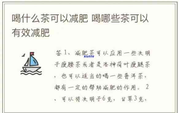 肥胖喝哪种茶好，喝什么茶可以帮助减肥？探讨肥胖人群的茶饮选择