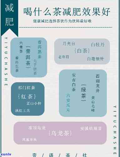 肥胖喝哪种茶好，喝什么茶可以帮助减肥？探讨肥胖人群的茶饮选择