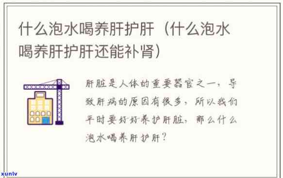 保护肝脏：常喝哪些泡水效果？