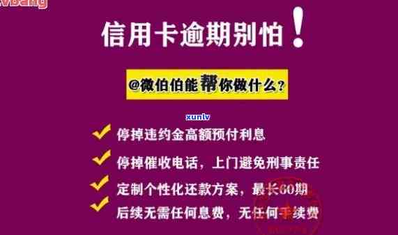 如何计算滞纳金逾期利息？详细步骤解析