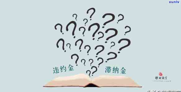 滞纳金：逾期利息还是违约金？