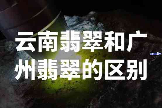 广东翡翠与云南翡翠：哪个品质更优？揭阳翡翠与云南翡翠的比较