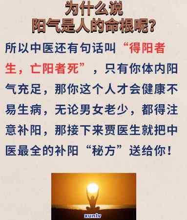 冰岛生茶存放几年？价格、特点与口感全解析