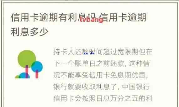 中信信用卡逾期3年利息计算  及查询方法