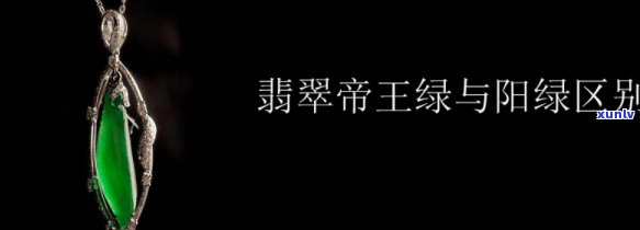 详解帝王绿与阳绿翡翠的区别：从颜色、透明度、价值三方面比较