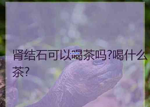 喝什么茶对肾结石好-喝什么茶对肾结石好?