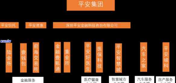 平安普和金所的关系，揭秘金所与平安普的关系：两者之间的联系与区别