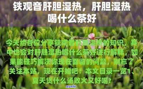 湿热喝什么茶效果好-肝胆湿热喝什么茶效果好