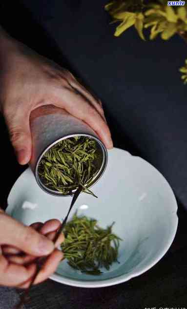 高中生男孩喝什么茶好，为高中生男生推荐的几种适合饮用的茶叶