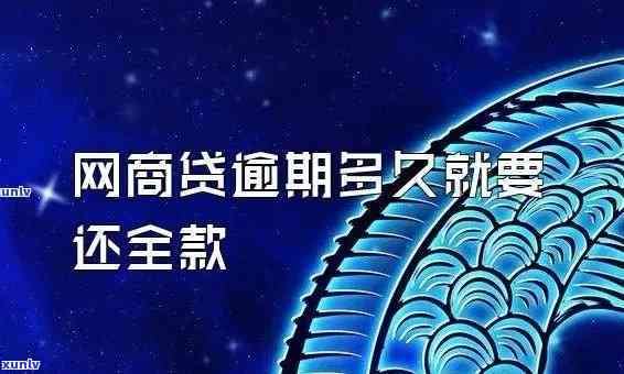 网商贷逾期查询：全面熟悉逾期情况的  与步骤