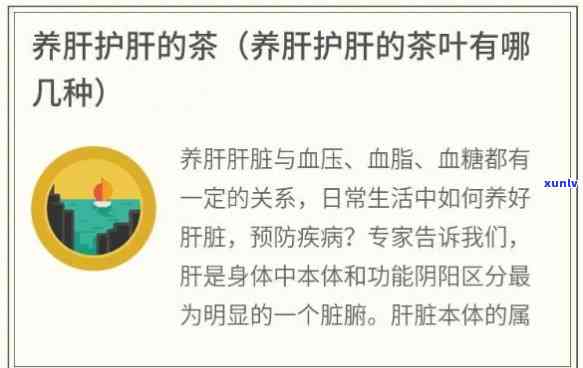 养肝喝什么茶比较好一点，护肝必备！推荐几款适合养肝的茶饮