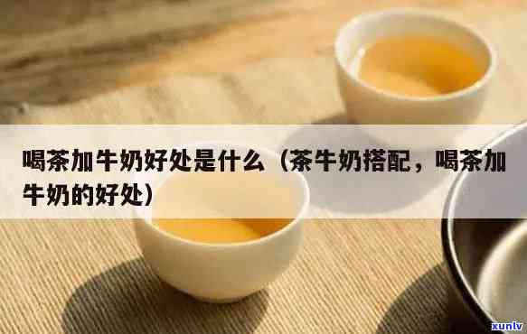 久坐应该喝什么？答案是茶和牛奶！