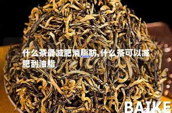 消脂喝什么茶，寻找消脂茶？这份榜单告诉你！