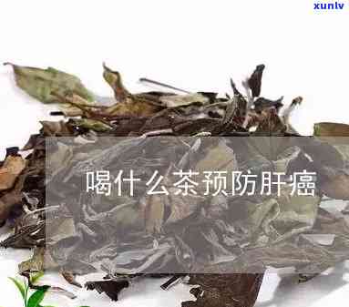 肝肿瘤喝什么茶-肝肿瘤喝什么茶最健